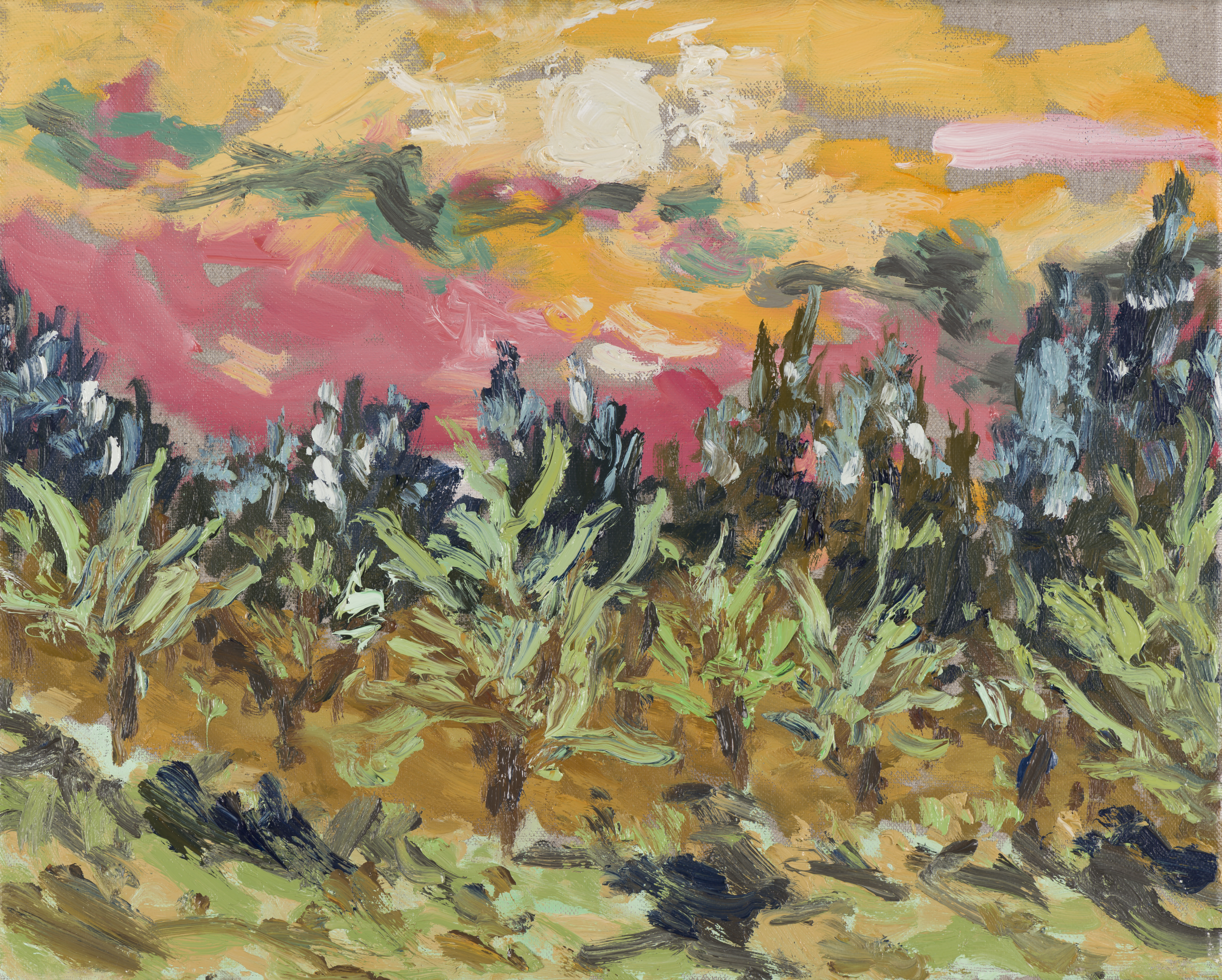 SUNSET OUTSIDE OF AIX PRINT - 13x16