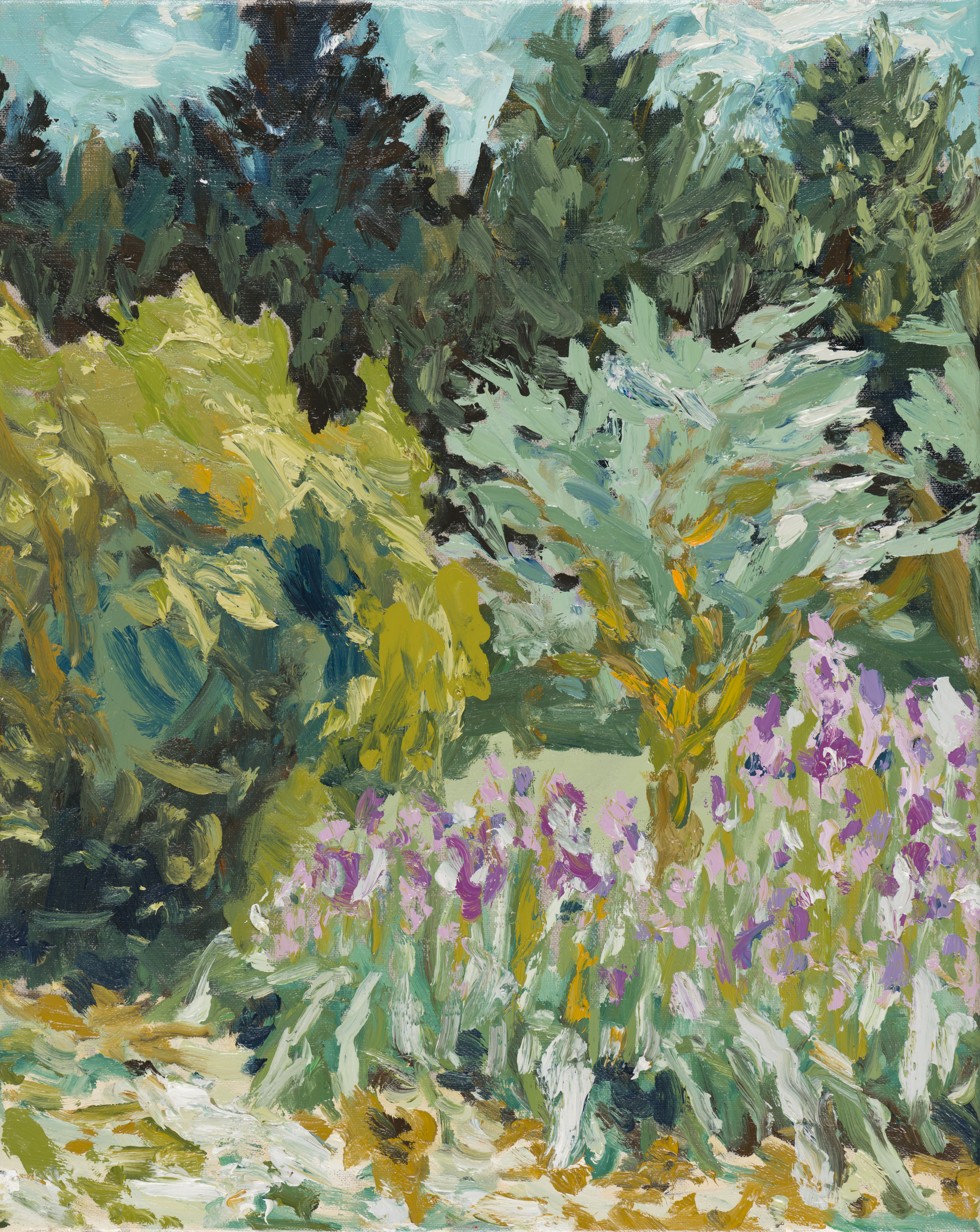 IRIS IN THE FIELDS PRINT - 16x20