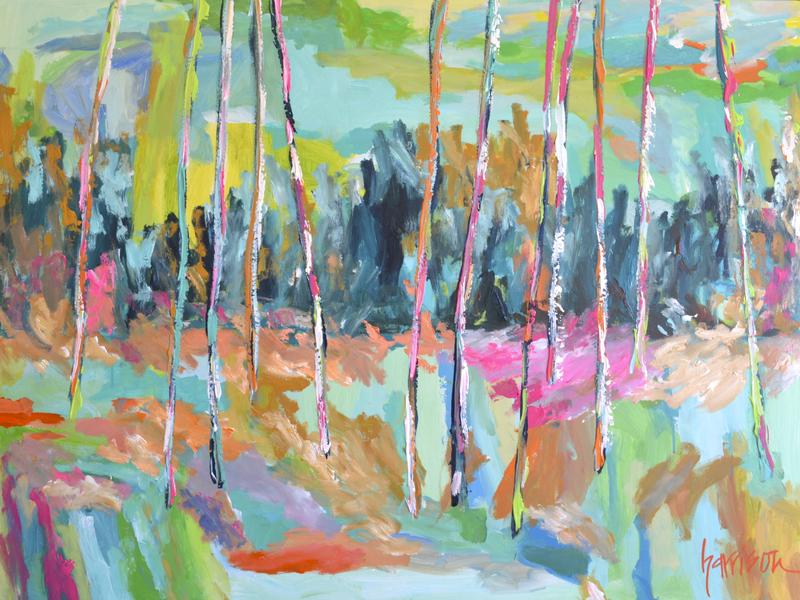 Summer Shade 40 x 30