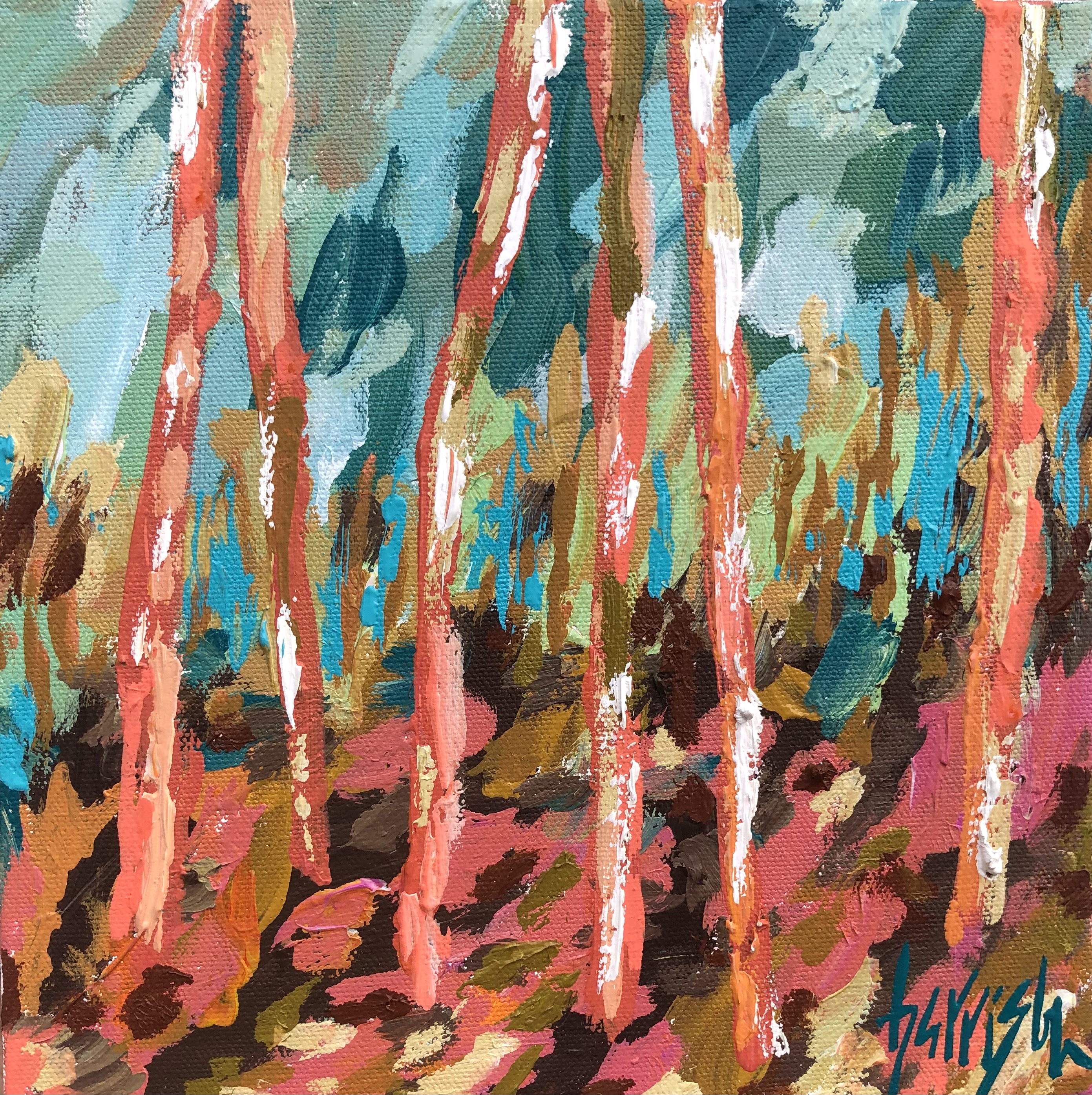 LIGHT AND SHADOW 17 - 10x10