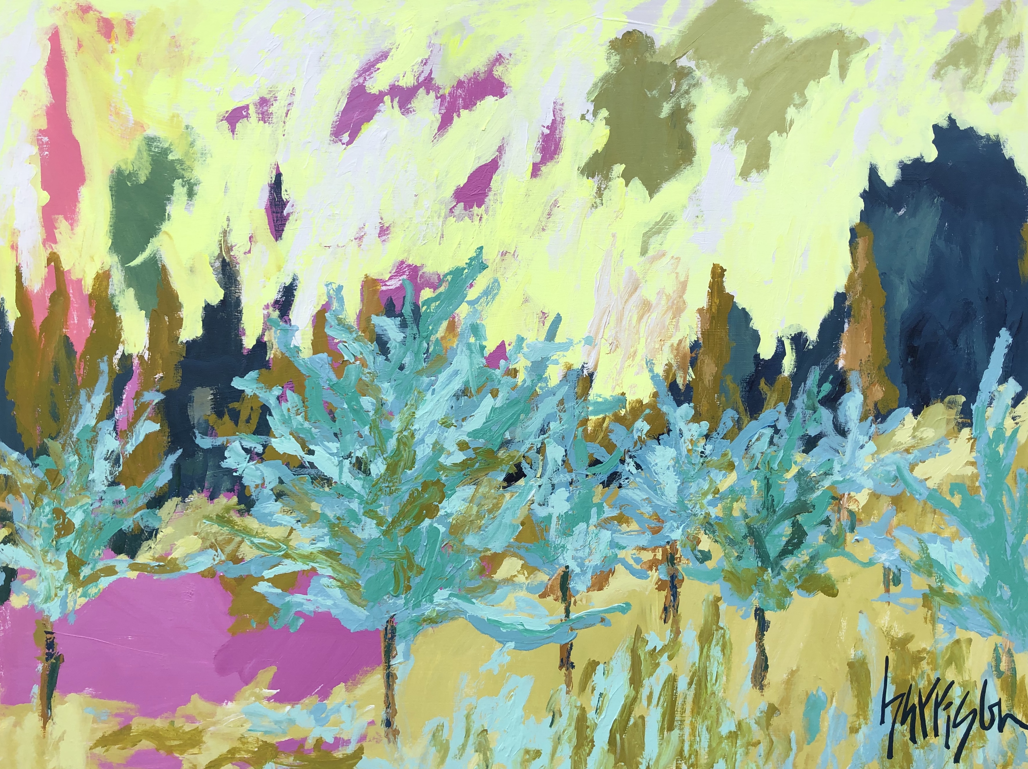 FIELDS OF PROVENCE 5 - 30x40