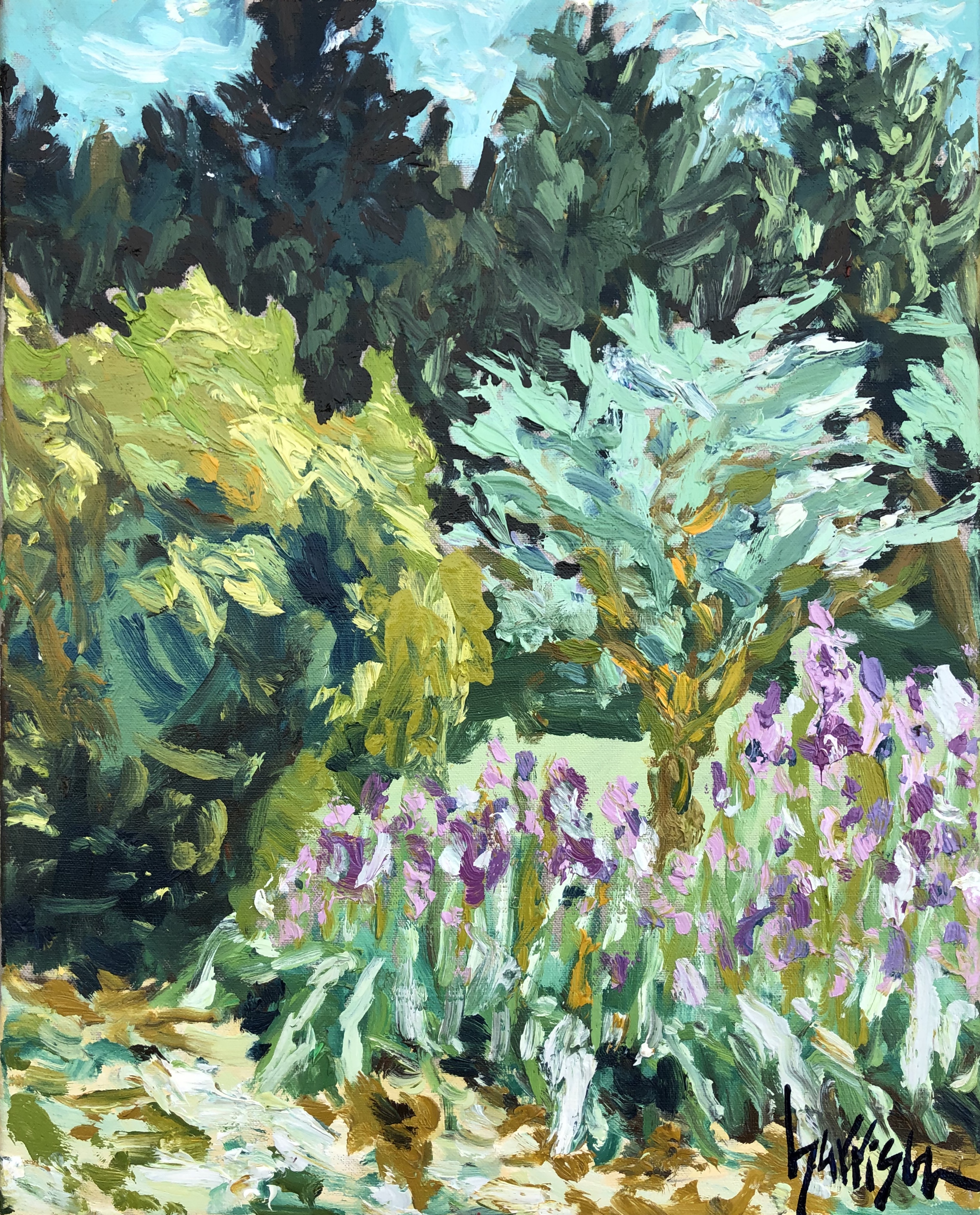IRIS IN THE FIELDS - 16x20