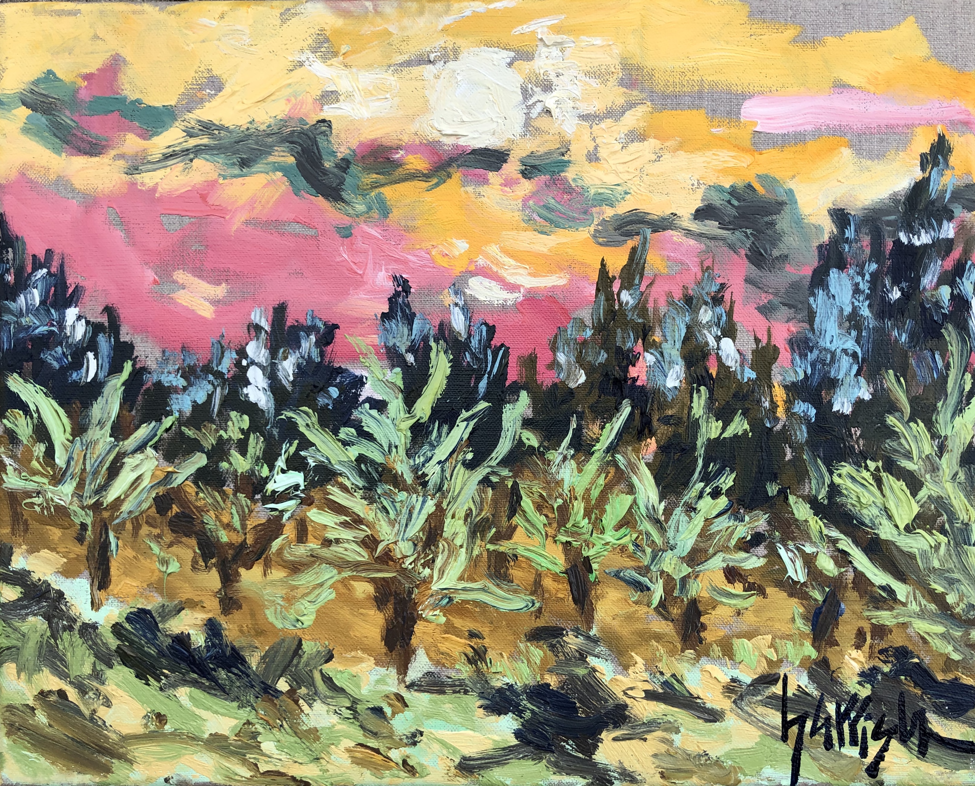 SUNSET OUTSIDE OF AIX - 13x16