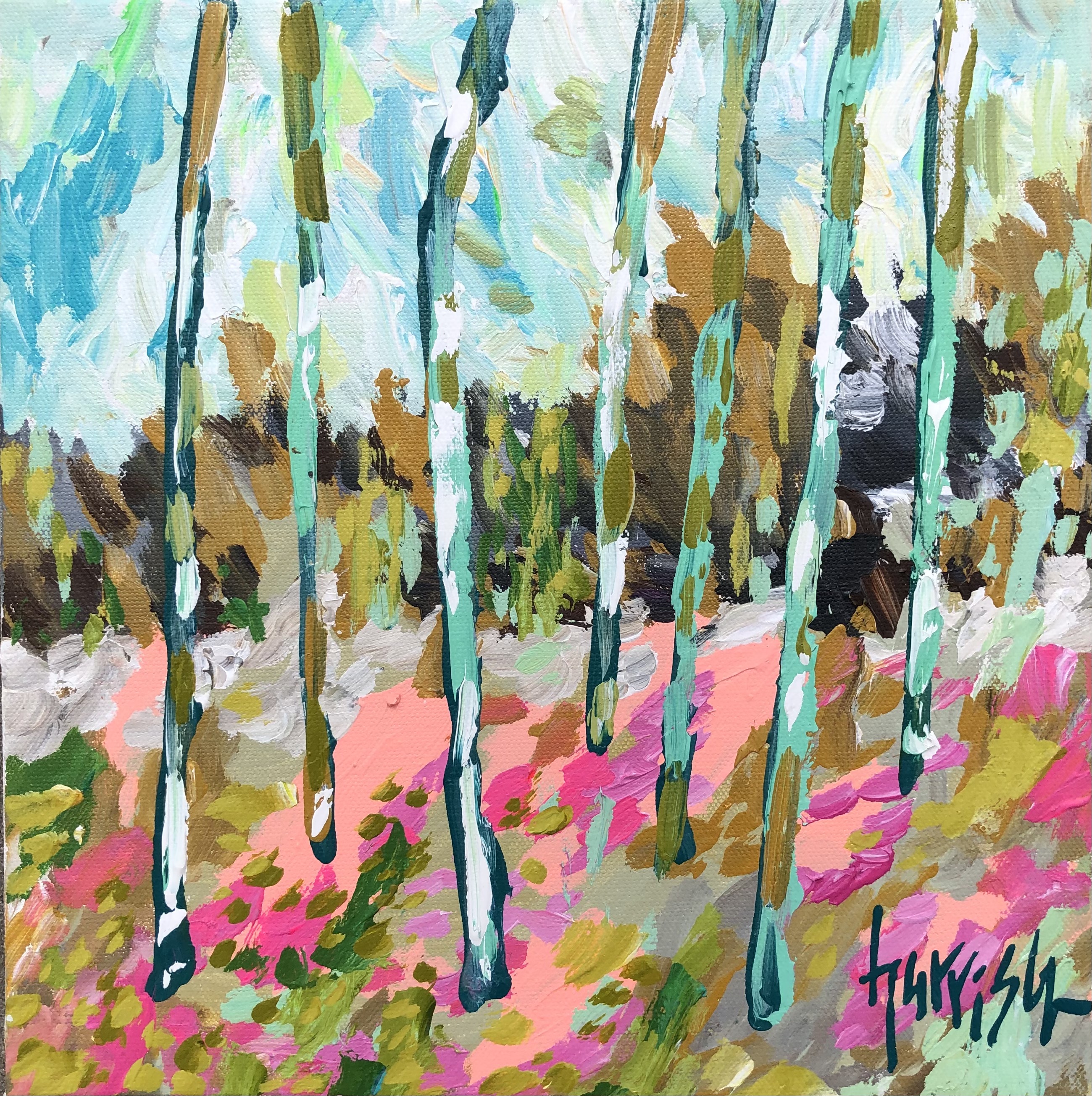 LIGHT AND SHADOW 6 - 12x12