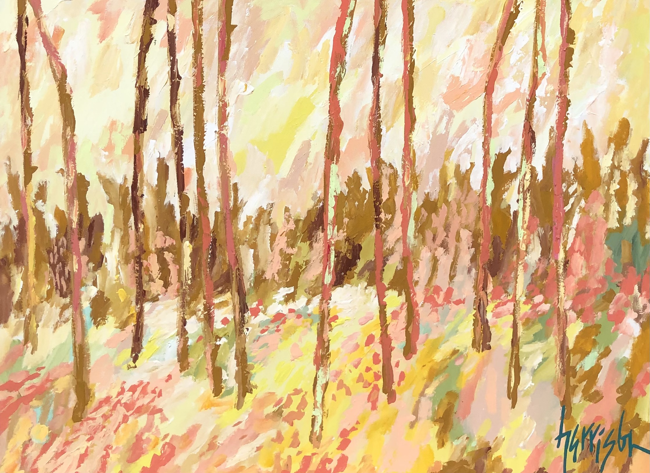 LIGHT AND SHADOW 2 - 30x40